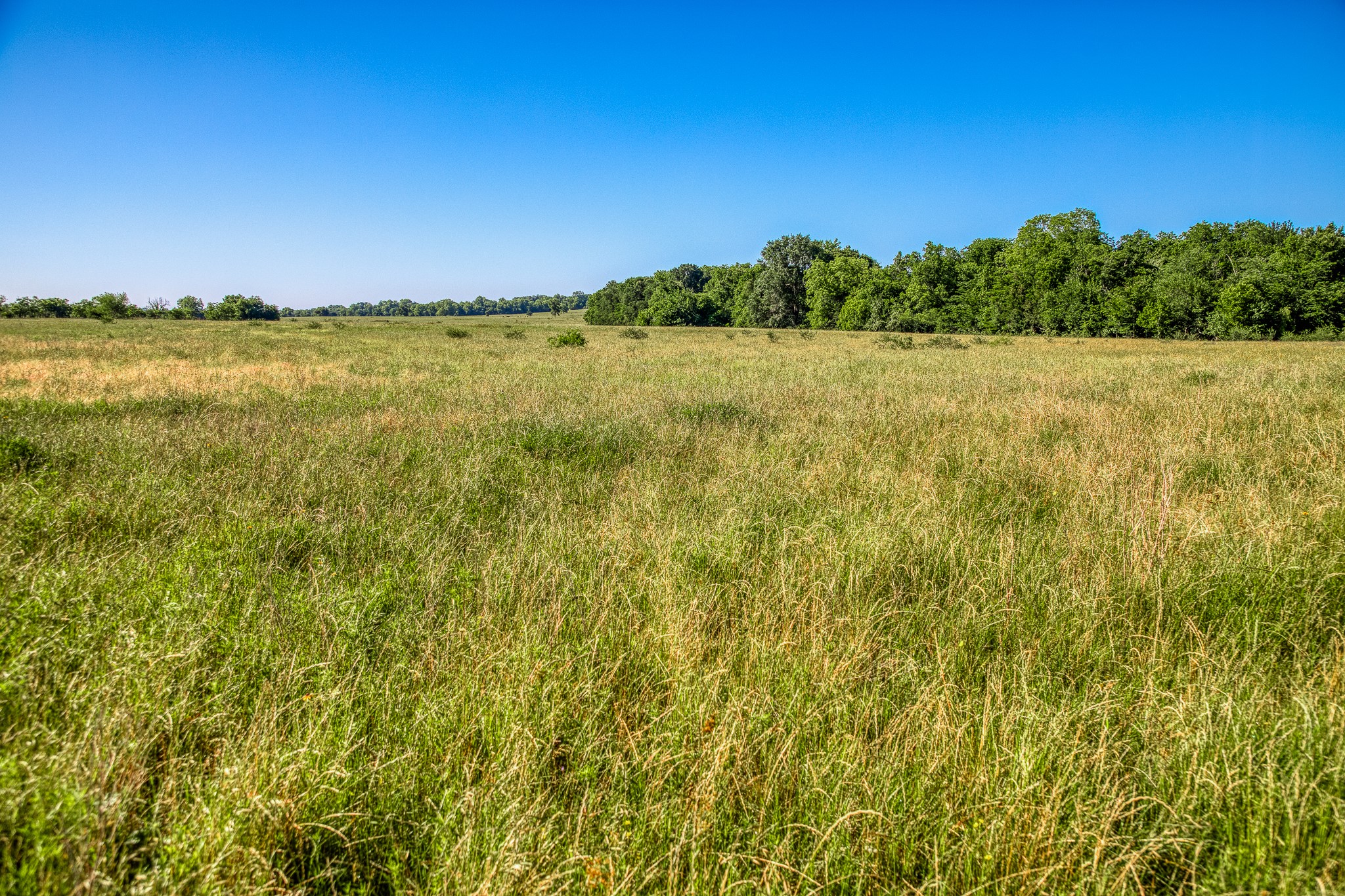 0 Flat Prairie Road Washington, TX 77880 - Photo 3 of 19
