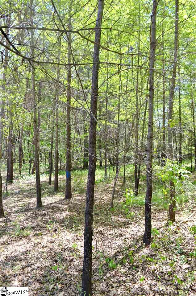 89 Loftis Road Travelers Rest, SC 29690 - Photo 28 of 28