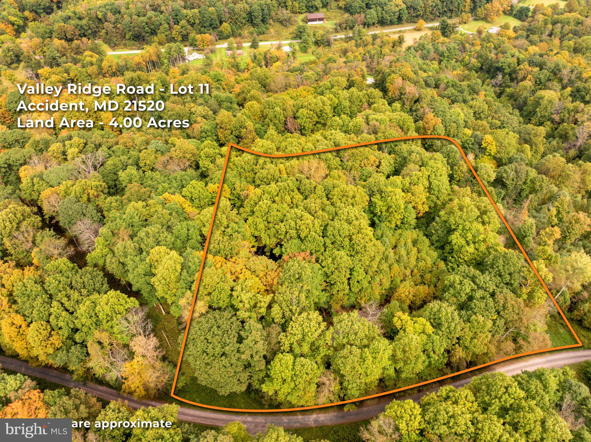 Valley Ridge Road Accident, MD 21520 - Photo 16 of 17 Gallery Image 16