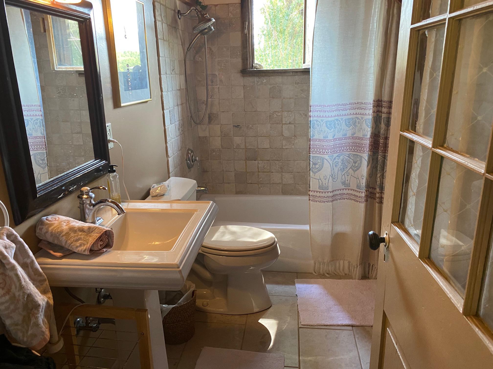 709 Clinton Street Ridgway, CO 81432 - Photo 10 of 13 IMG_8304 (1)