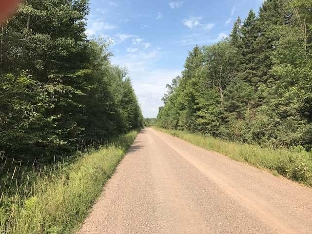 W4427 Hedin Road Ogema, WI 54459 - Photo 19 of 19 Gallery Image 19