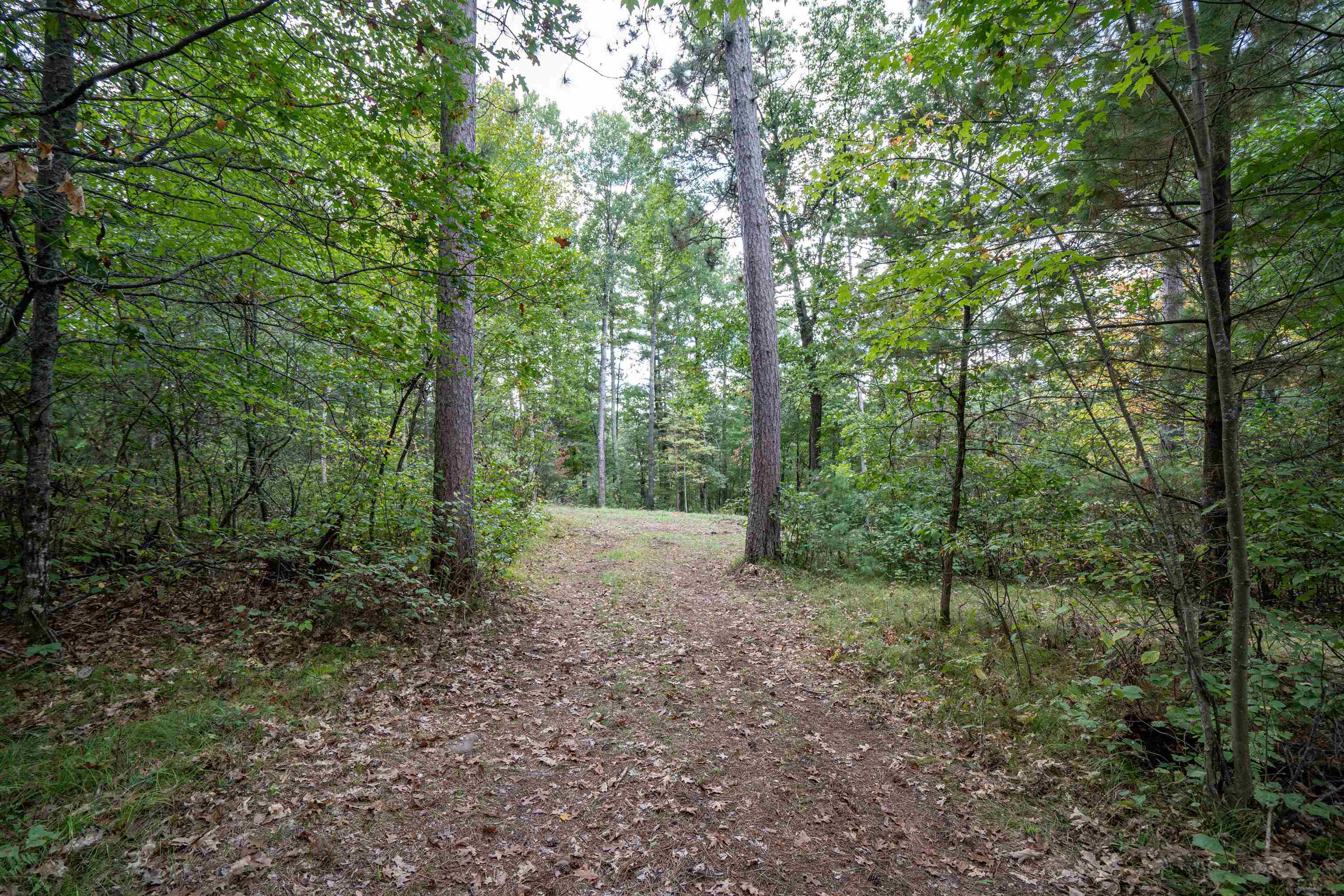 14333 South St Croix Road Gordon, WI 54838 - Photo 11 of 16