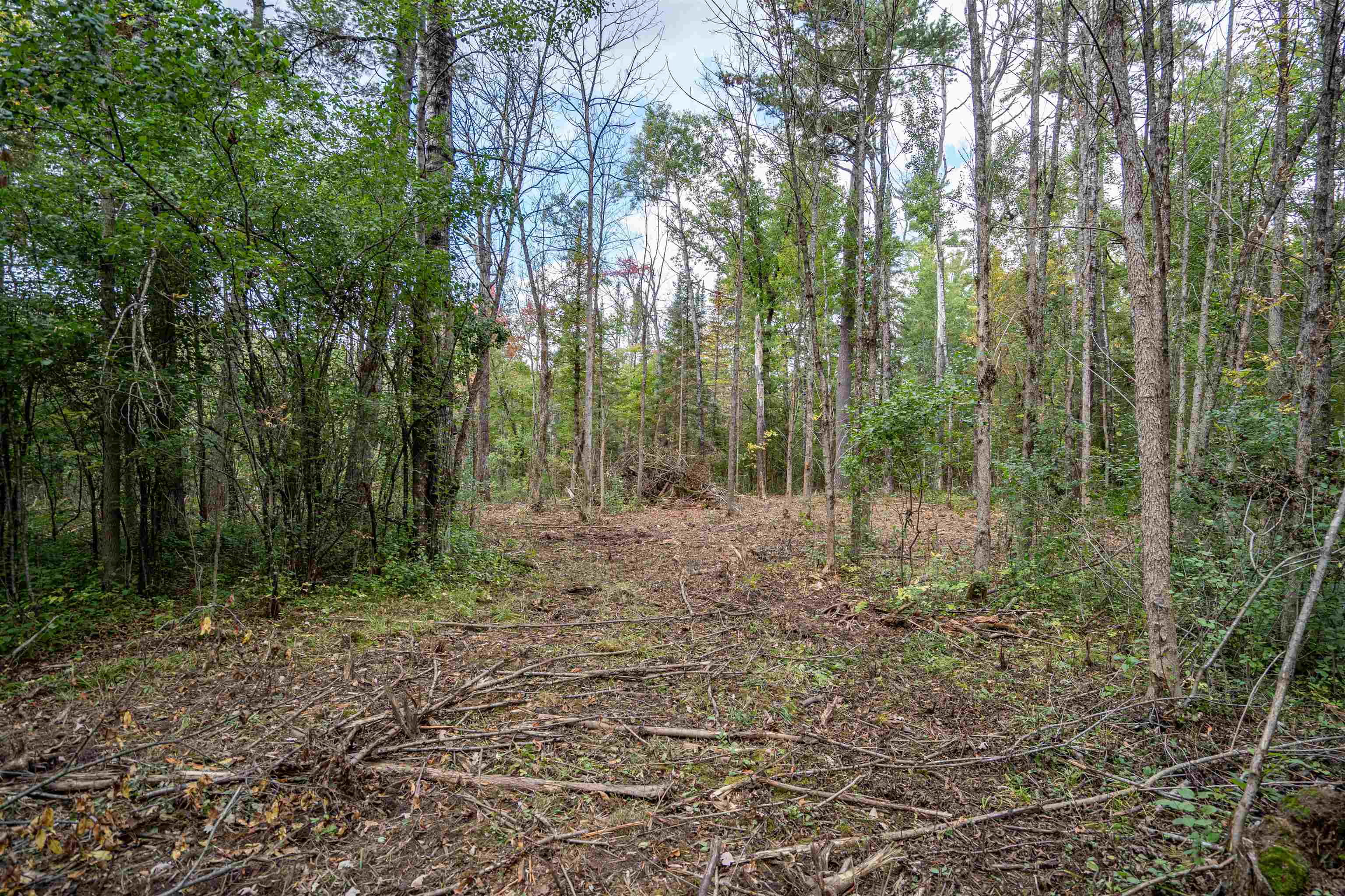 14333 South St Croix Road Gordon, WI 54838 - Photo 8 of 16