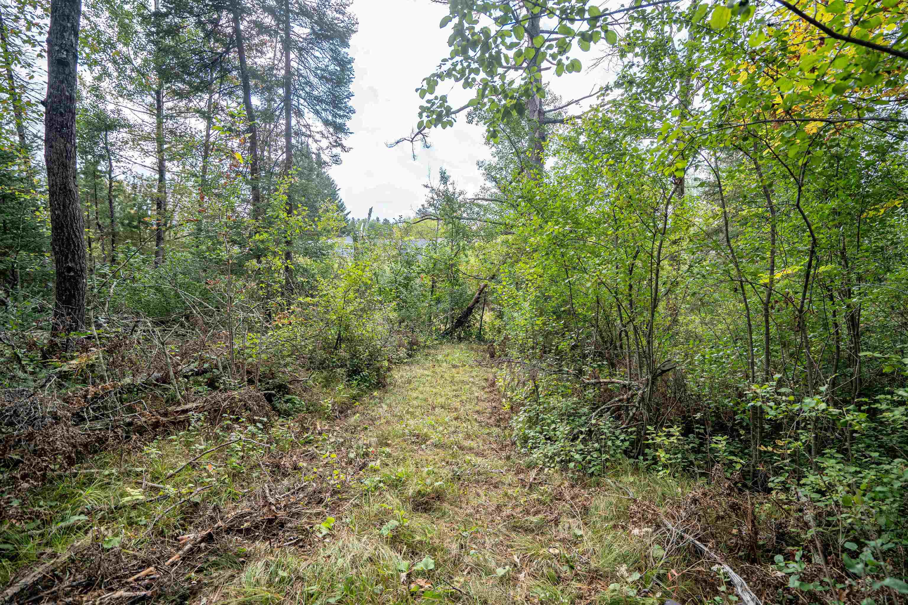 14333 South St Croix Road Gordon, WI 54838 - Photo 9 of 16