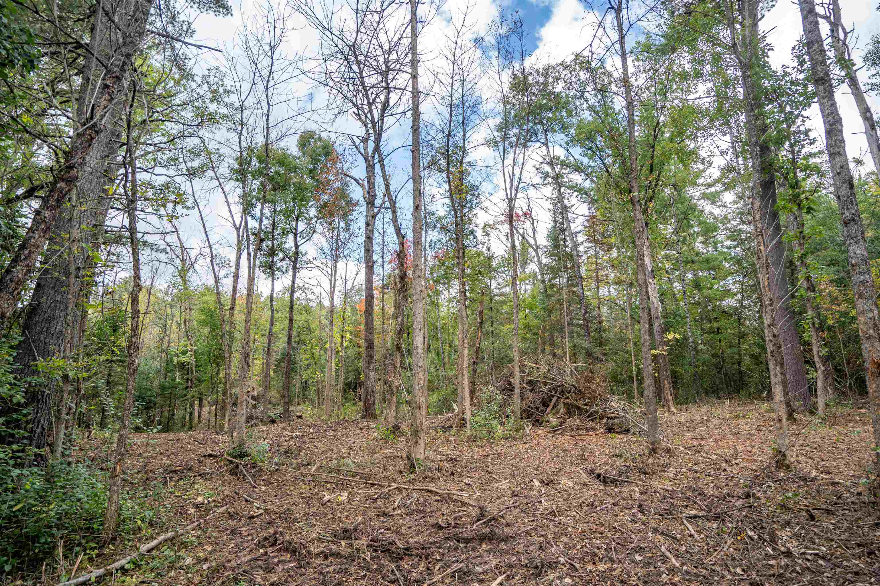 14333 South St Croix Road Gordon, WI 54838 - Photo 10 of 16