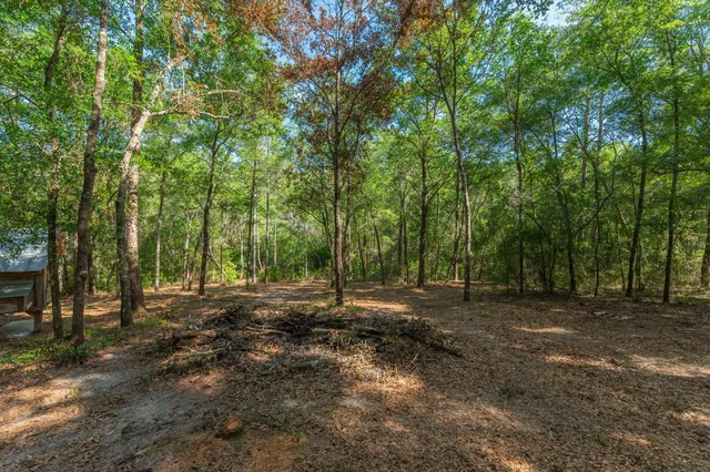 a big yard with lots of green space and deers