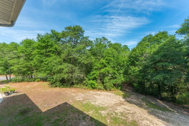 a view of a yard with plants and a trees