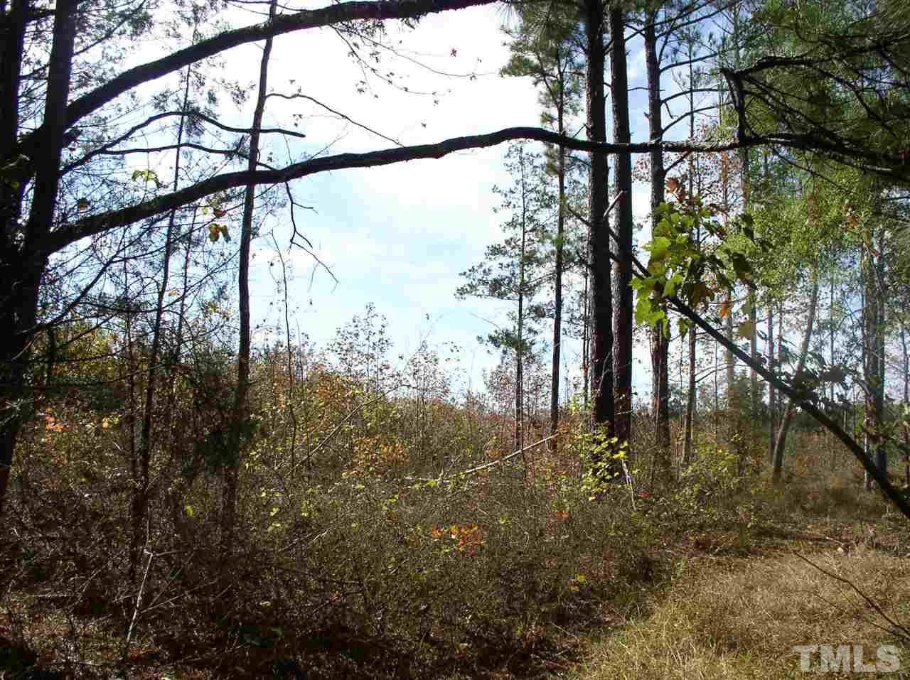 1084 Macon-Embro Road Macon, NC 27551 - Photo 3 of 14 Gallery Image 3