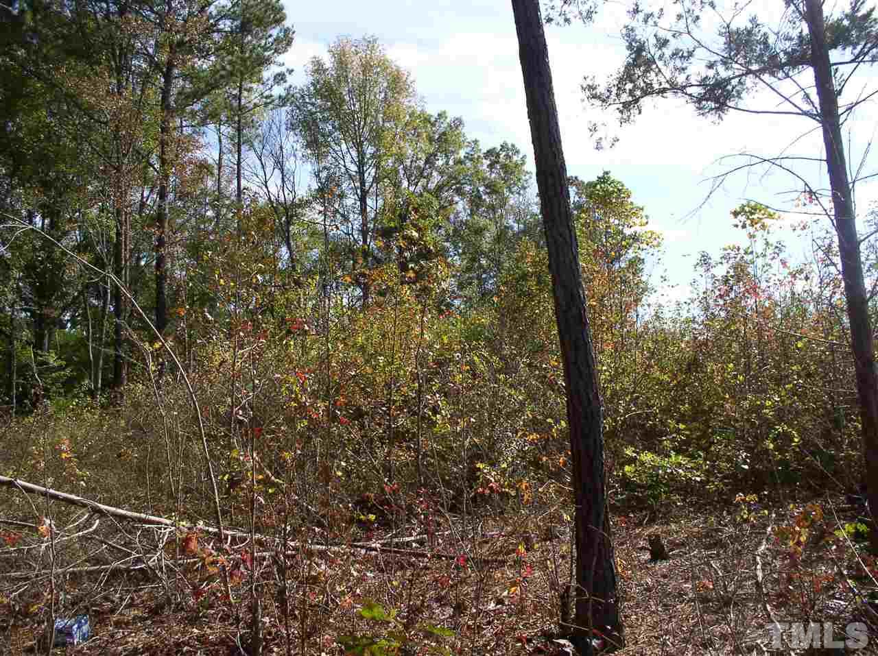 1084 Macon-Embro Road Macon, NC 27551 - Photo 4 of 14 Gallery Image 4