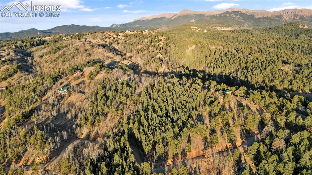 1289 Yorktown Road Cripple Creek, CO 80813 - Photo 1 of 35 a view of lake view and mountain