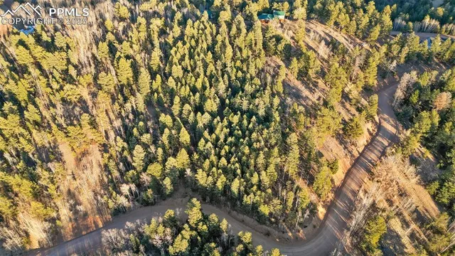 $29,000 | 1289 Yorktown Road, Cripple Creek, CO 80813