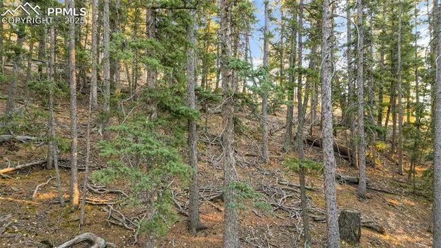 $29,000 | 1289 Yorktown Road, Cripple Creek, CO 80813