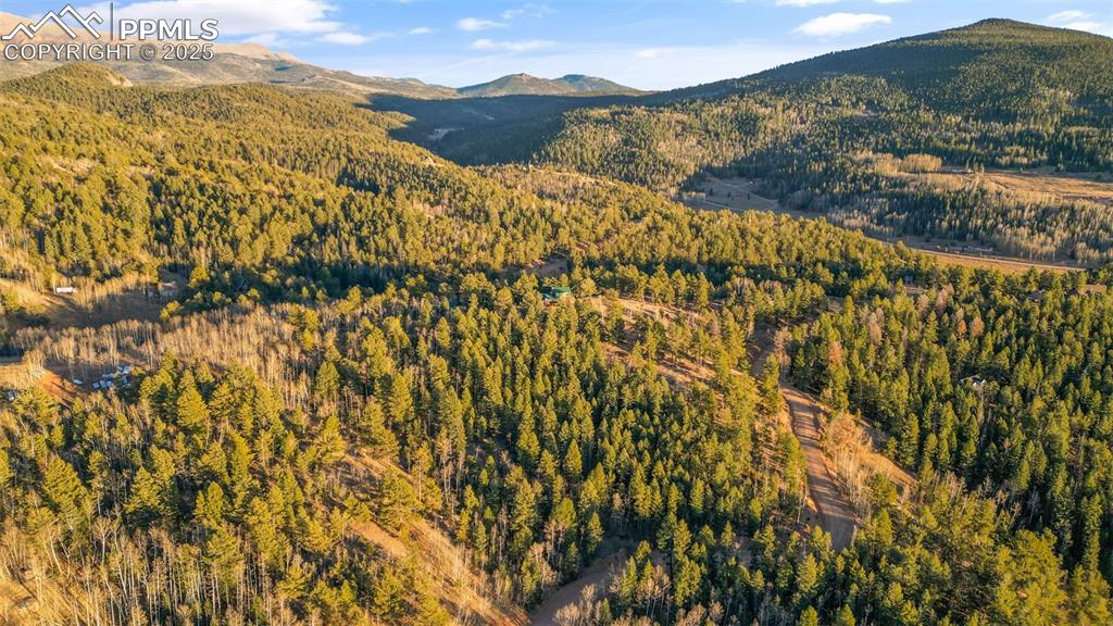 1289 Yorktown Road Cripple Creek, CO 80813 - Photo 12 of 35 a view of a with outside space