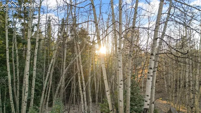 $29,000 | 1289 Yorktown Road, Cripple Creek, CO 80813