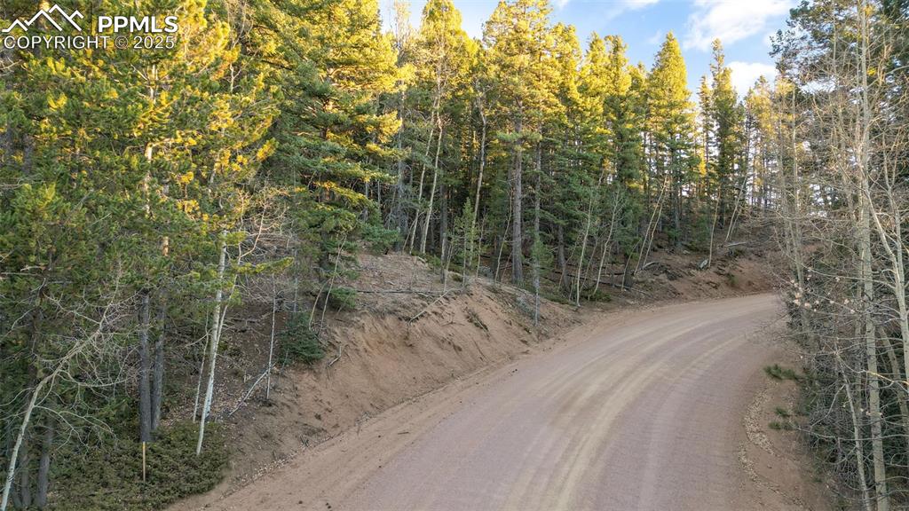 1289 Yorktown Road Cripple Creek, CO 80813 - Photo 19 of 35 a view of a forest with trees in the background