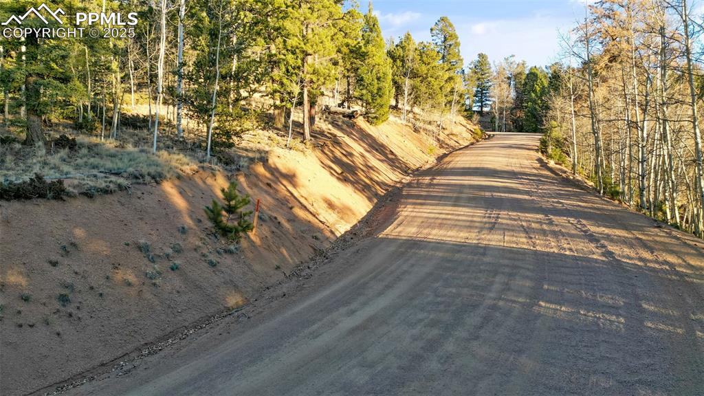 1289 Yorktown Road Cripple Creek, CO 80813 - Photo 20 of 35 a view of yard