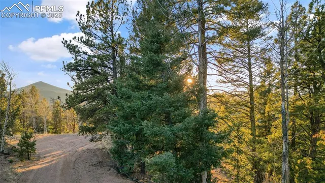 $29,000 | 1289 Yorktown Road, Cripple Creek, CO 80813