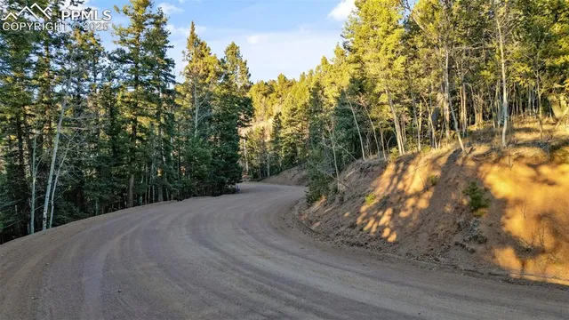 $29,000 | 1289 Yorktown Road, Cripple Creek, CO 80813
