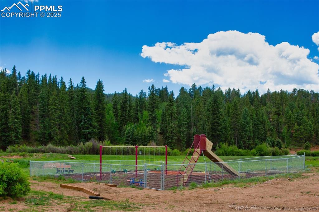 1289 Yorktown Road Cripple Creek, CO 80813 - Photo 25 of 35 a view of a park