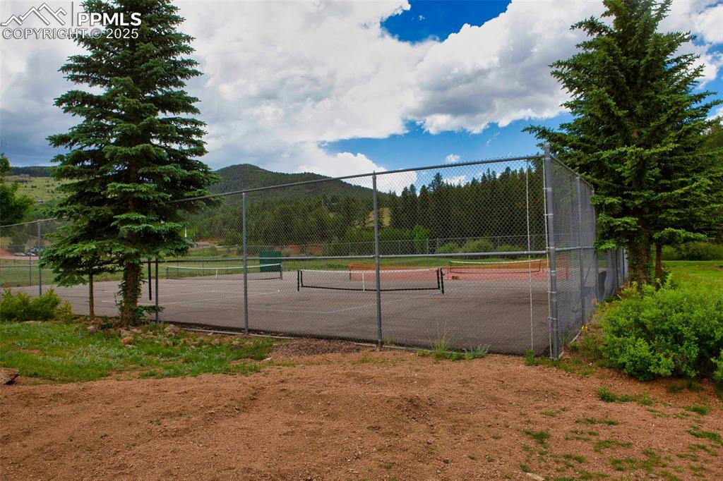 1289 Yorktown Road Cripple Creek, CO 80813 - Photo 26 of 35 a view of backyard with green space