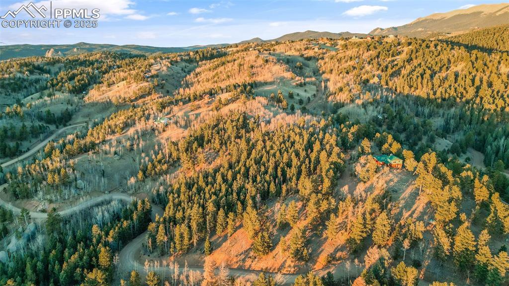 1289 Yorktown Road Cripple Creek, CO 80813 - Photo 4 of 35 a view of lake