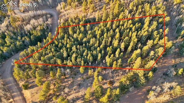 $29,000 | 1289 Yorktown Road, Cripple Creek, CO 80813