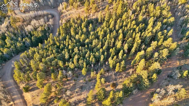 $29,000 | 1289 Yorktown Road, Cripple Creek, CO 80813