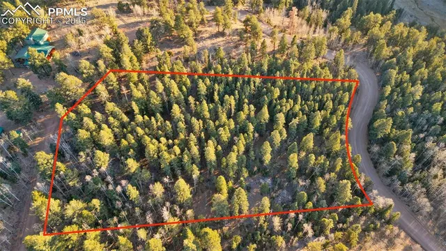 $29,000 | 1289 Yorktown Road, Cripple Creek, CO 80813