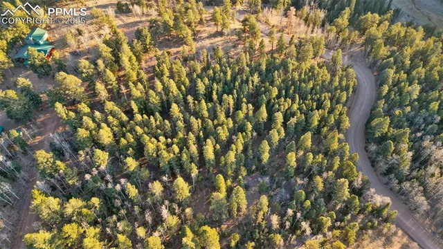 $29,000 | 1289 Yorktown Road, Cripple Creek, CO 80813