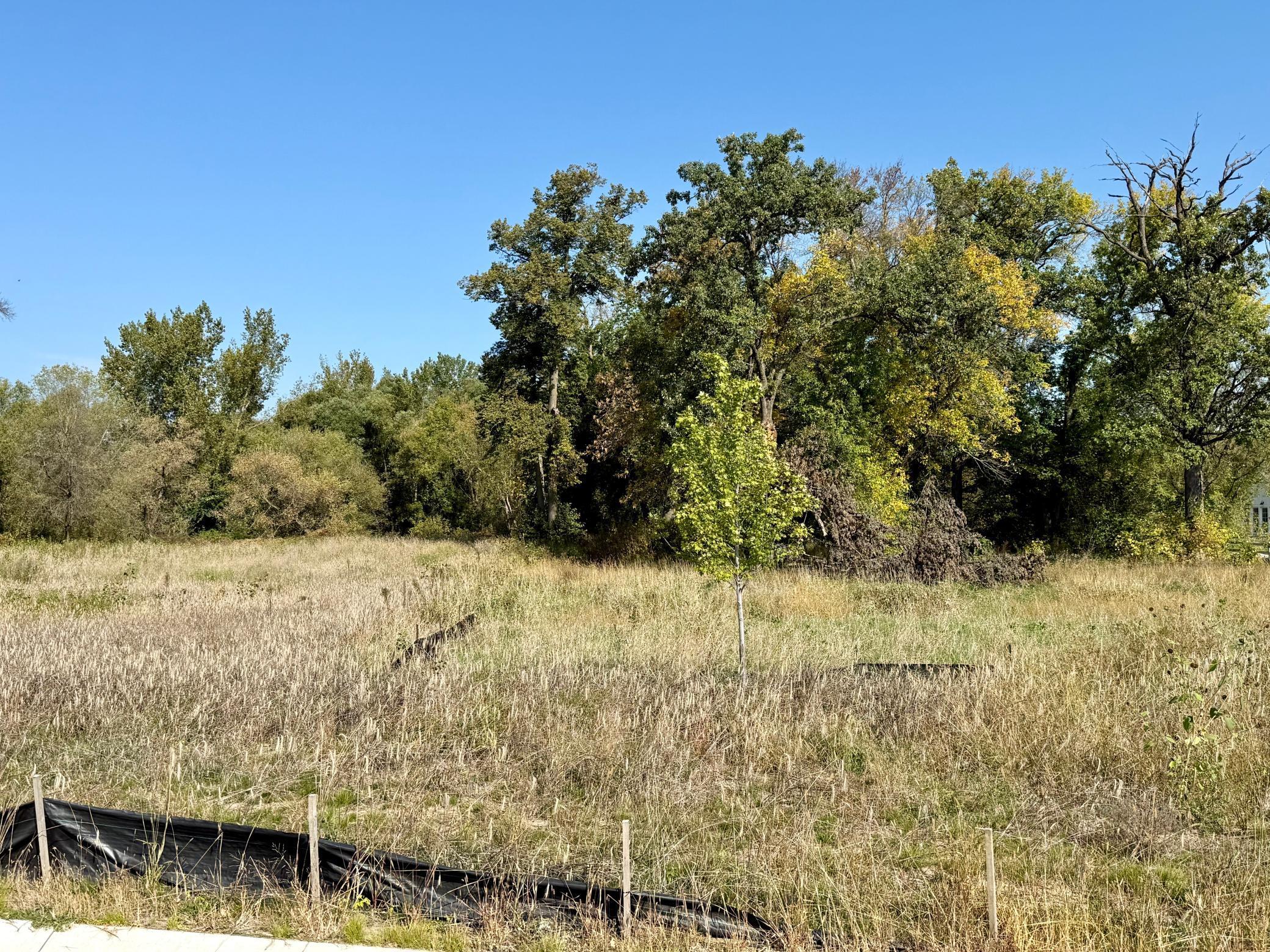 23368 Saddle Ridge Drive Rogers, MN 55374 - Photo 3 of 6