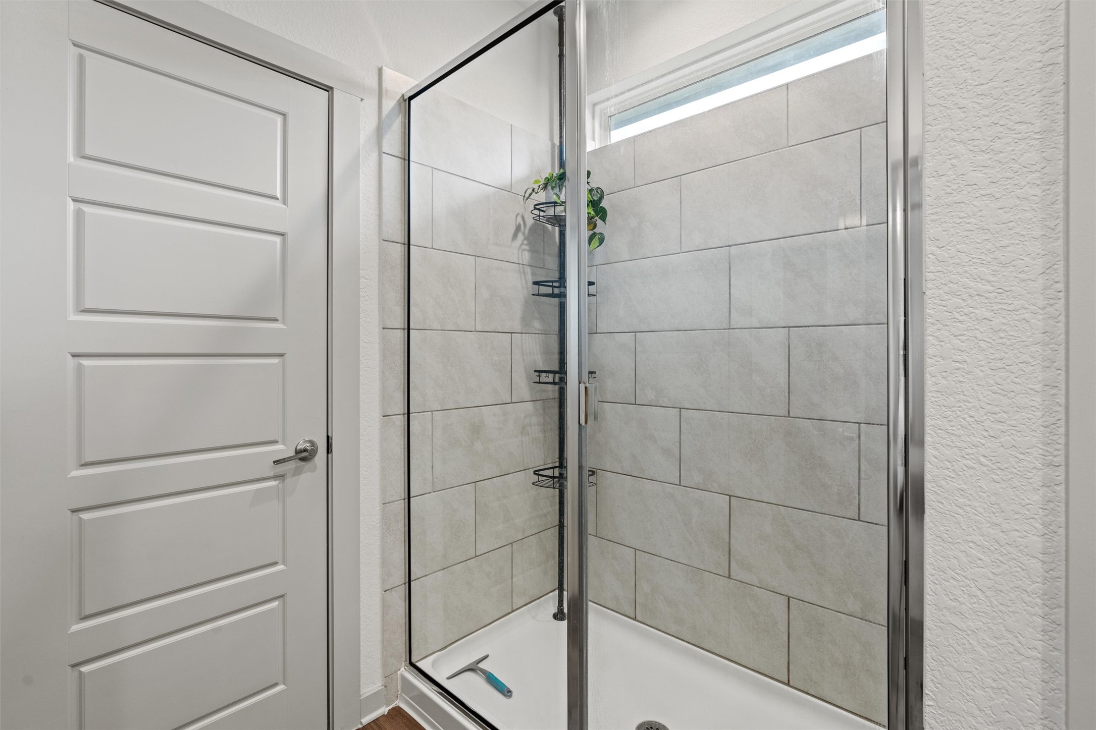 121 Tequilana Pass Leander, TX 78641 - Photo 19 of 39 a bathroom with a shower