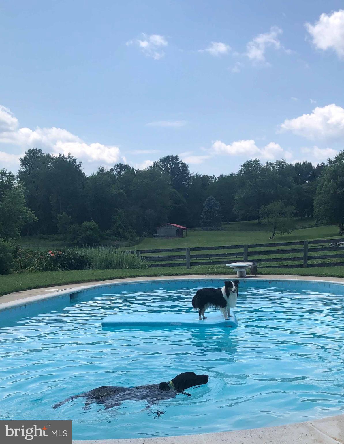 2939 Monkton Road Monkton, MD 21111 - Photo 20 of 104