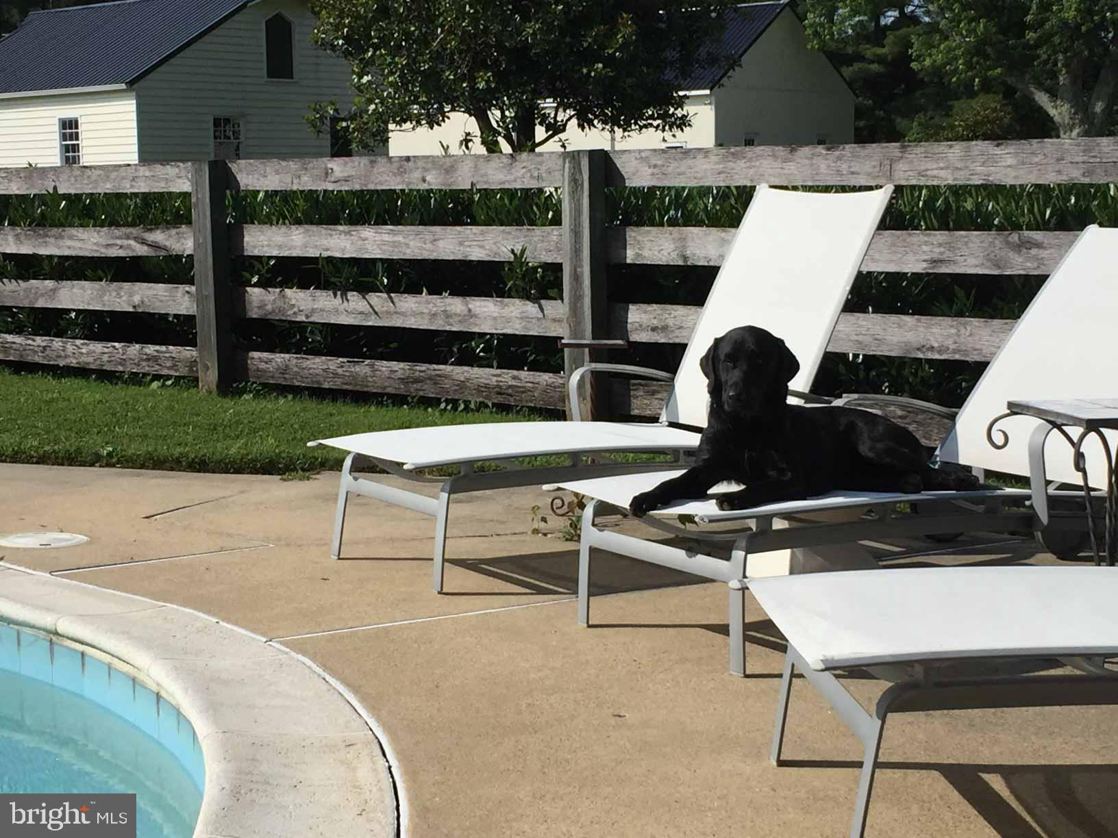 2939 Monkton Road Monkton, MD 21111 - Photo 21 of 104