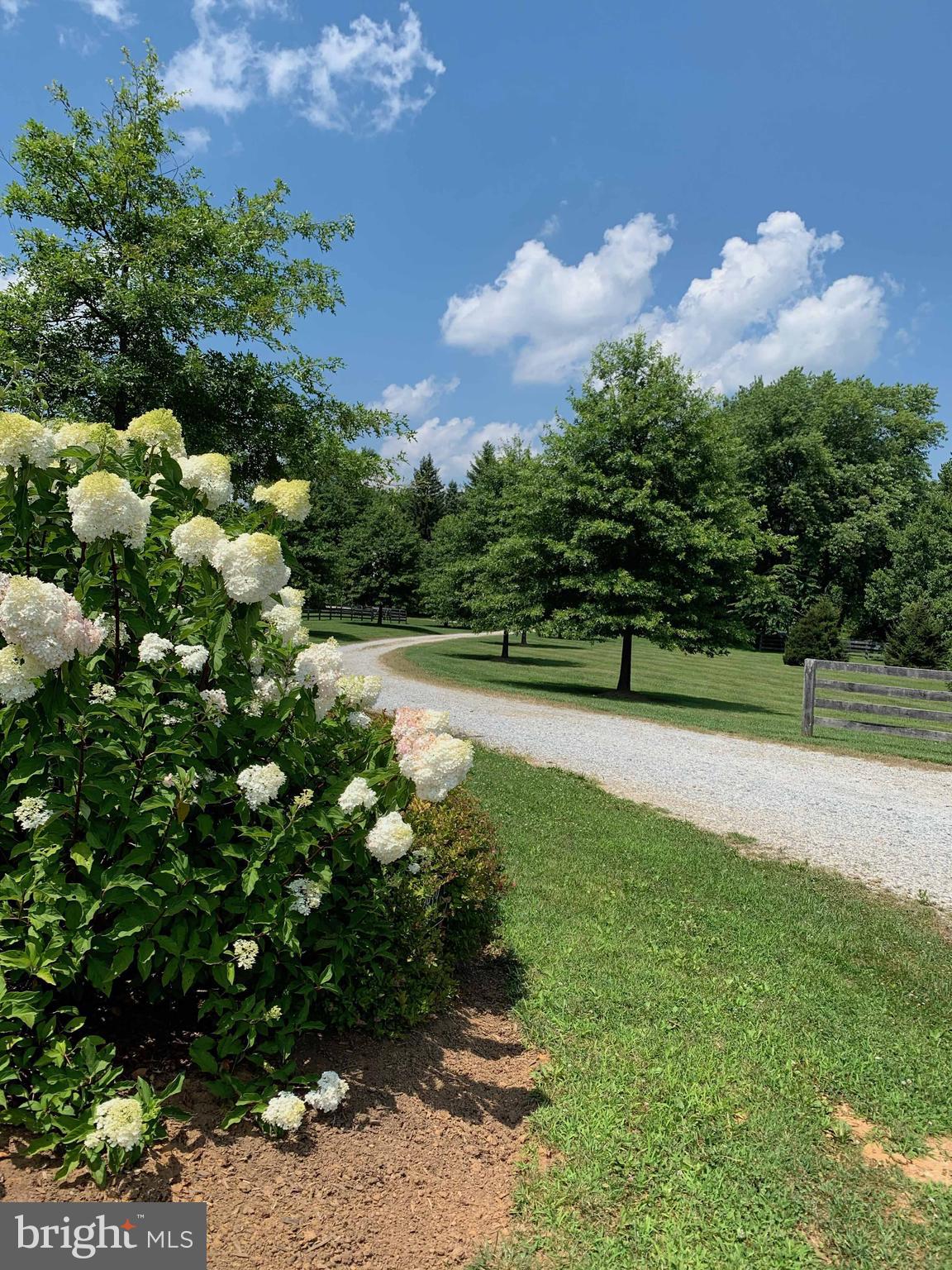 2939 Monkton Road Monkton, MD 21111 - Photo 22 of 104