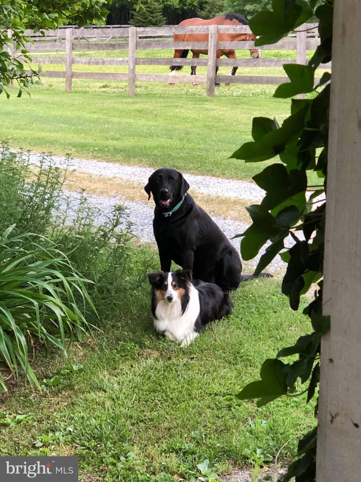 2939 Monkton Road Monkton, MD 21111 - Photo 24 of 104