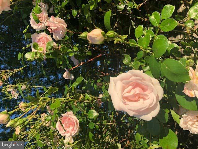 2939 Monkton Road Monkton, MD 21111 - Photo 27 of 104