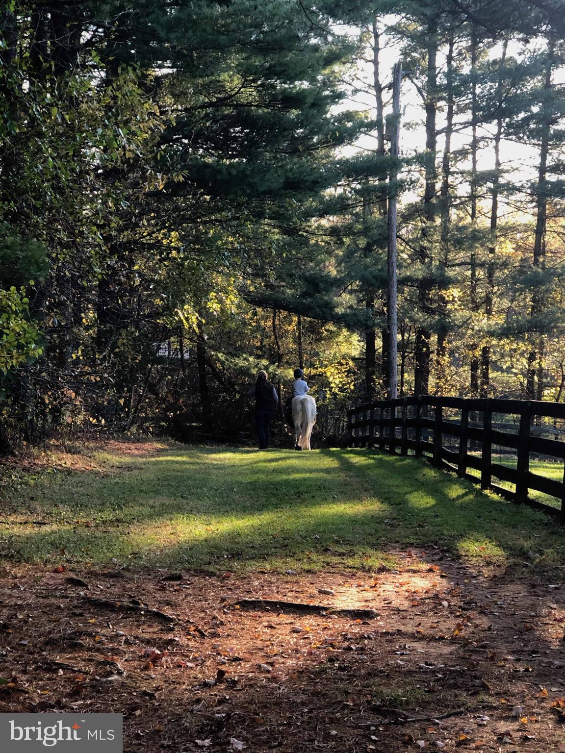 2939 Monkton Road Monkton, MD 21111 - Photo 31 of 104