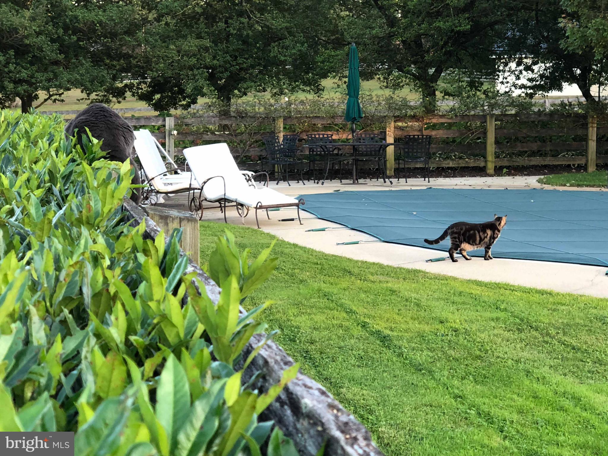 2939 Monkton Road Monkton, MD 21111 - Photo 70 of 104