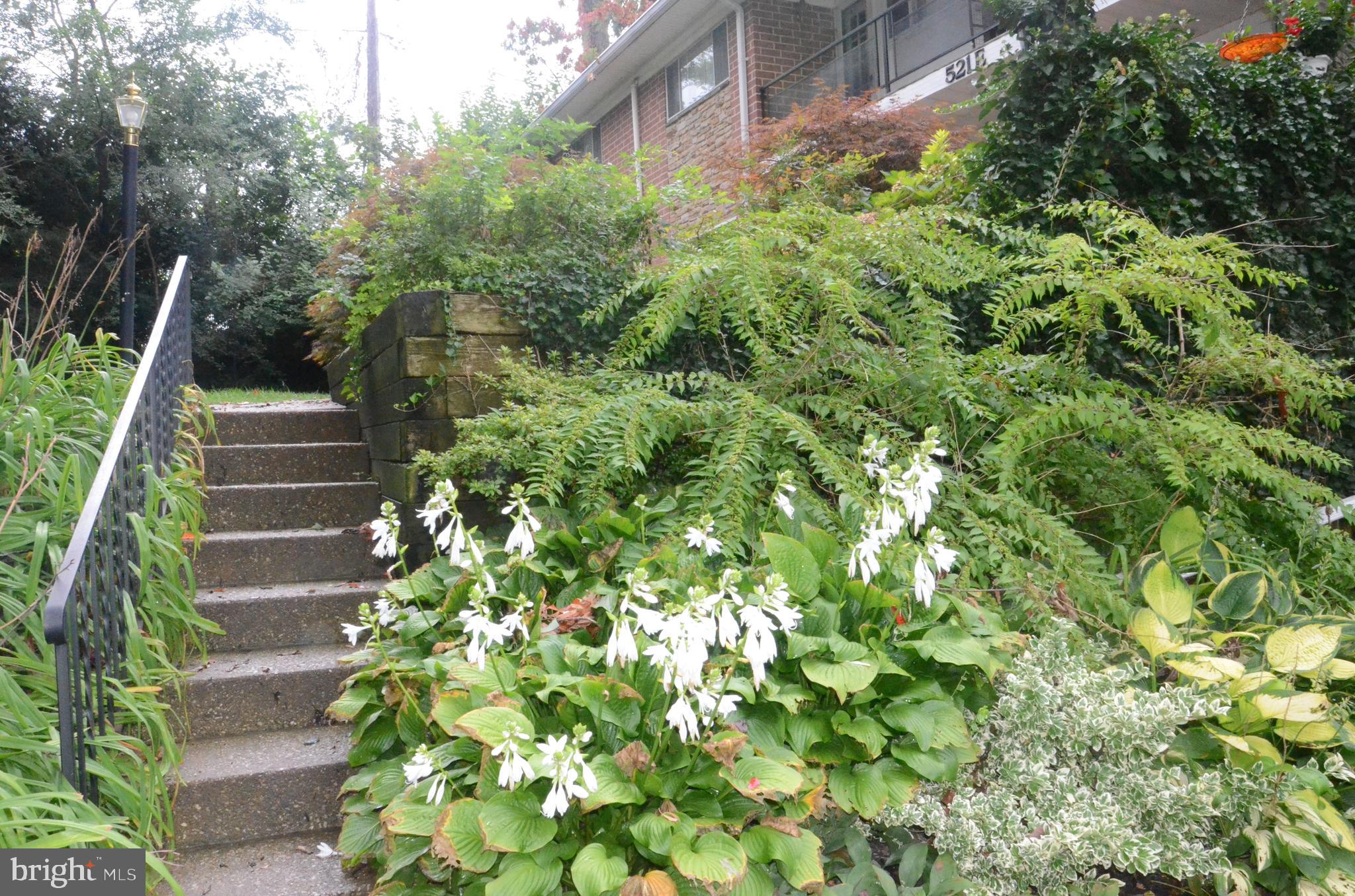 521 Epsom Road, Unit 2D Towson, MD 21286 - Photo 3 of 28 Entrance stairs to the building main entrance