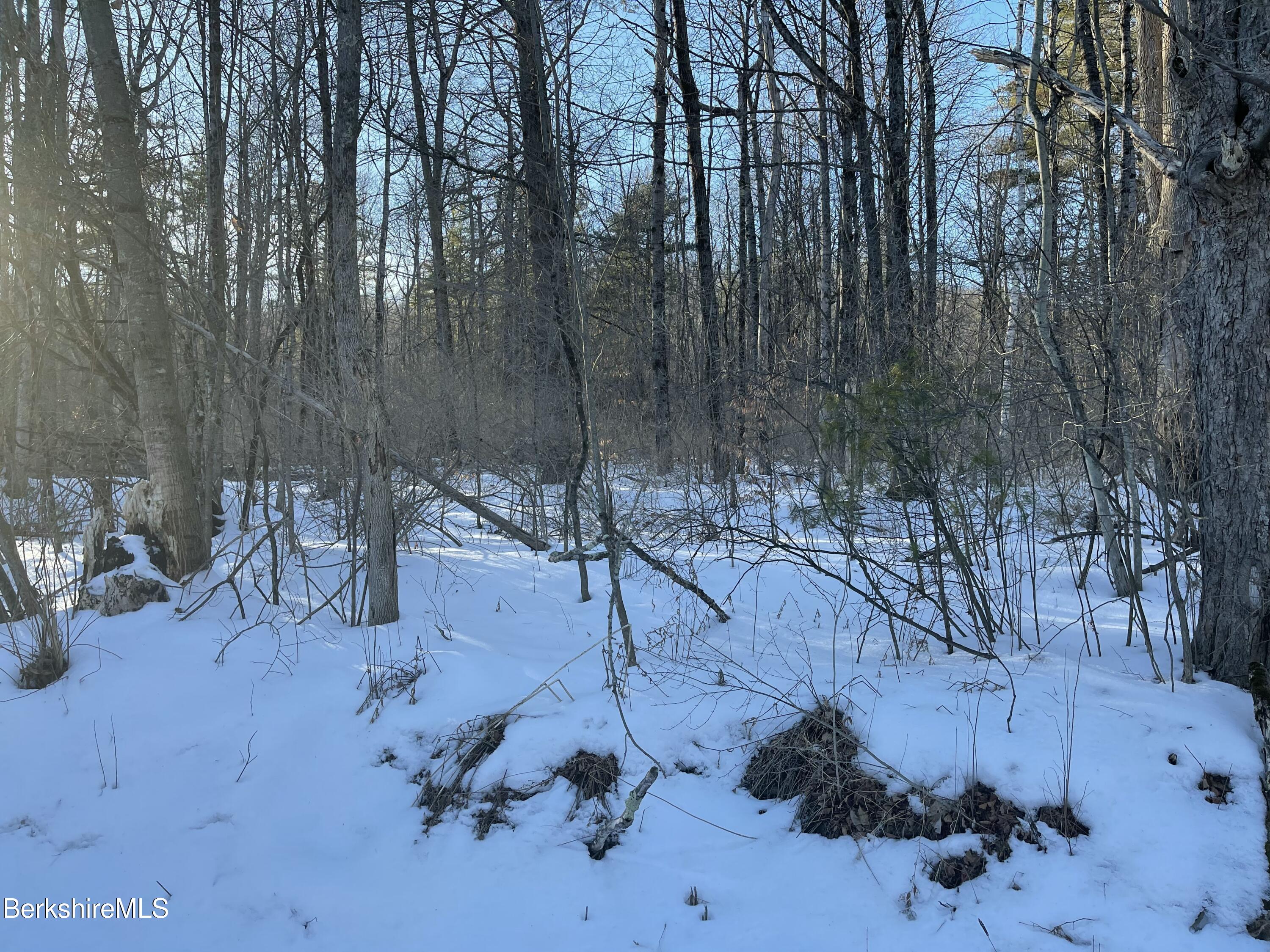 1 Partridge Road Lanesborough, MA 01237 - Photo 13 of 21 IMG_1042 (12)