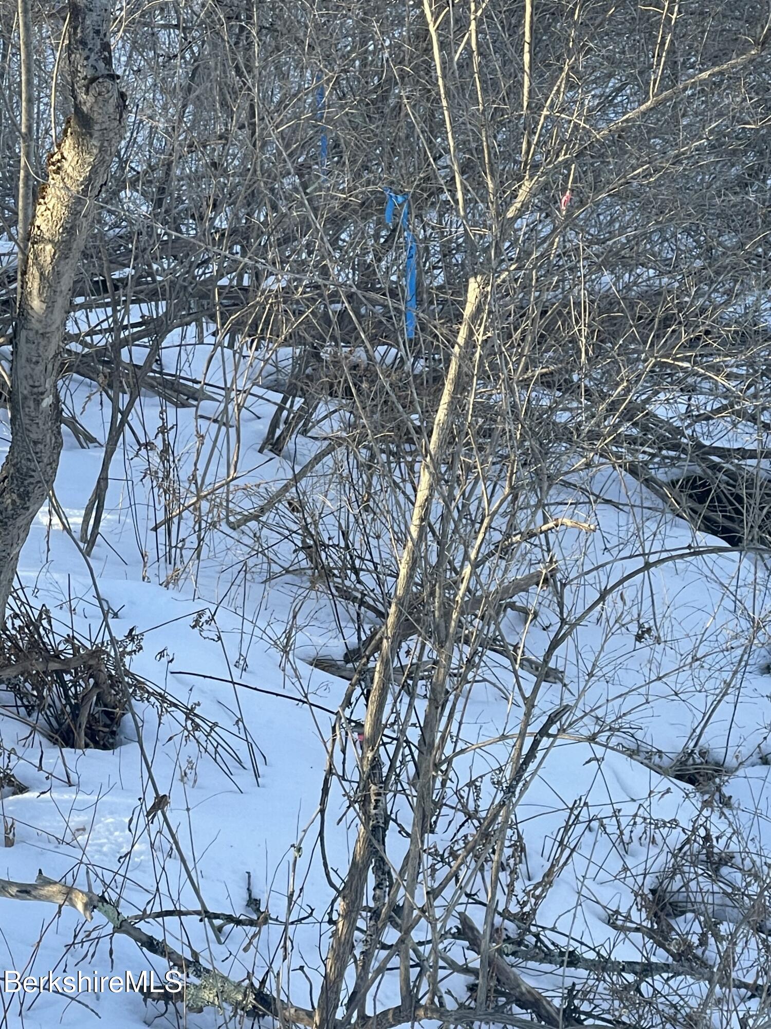 1 Partridge Road Lanesborough, MA 01237 - Photo 14 of 21 IMG_1042 (13)