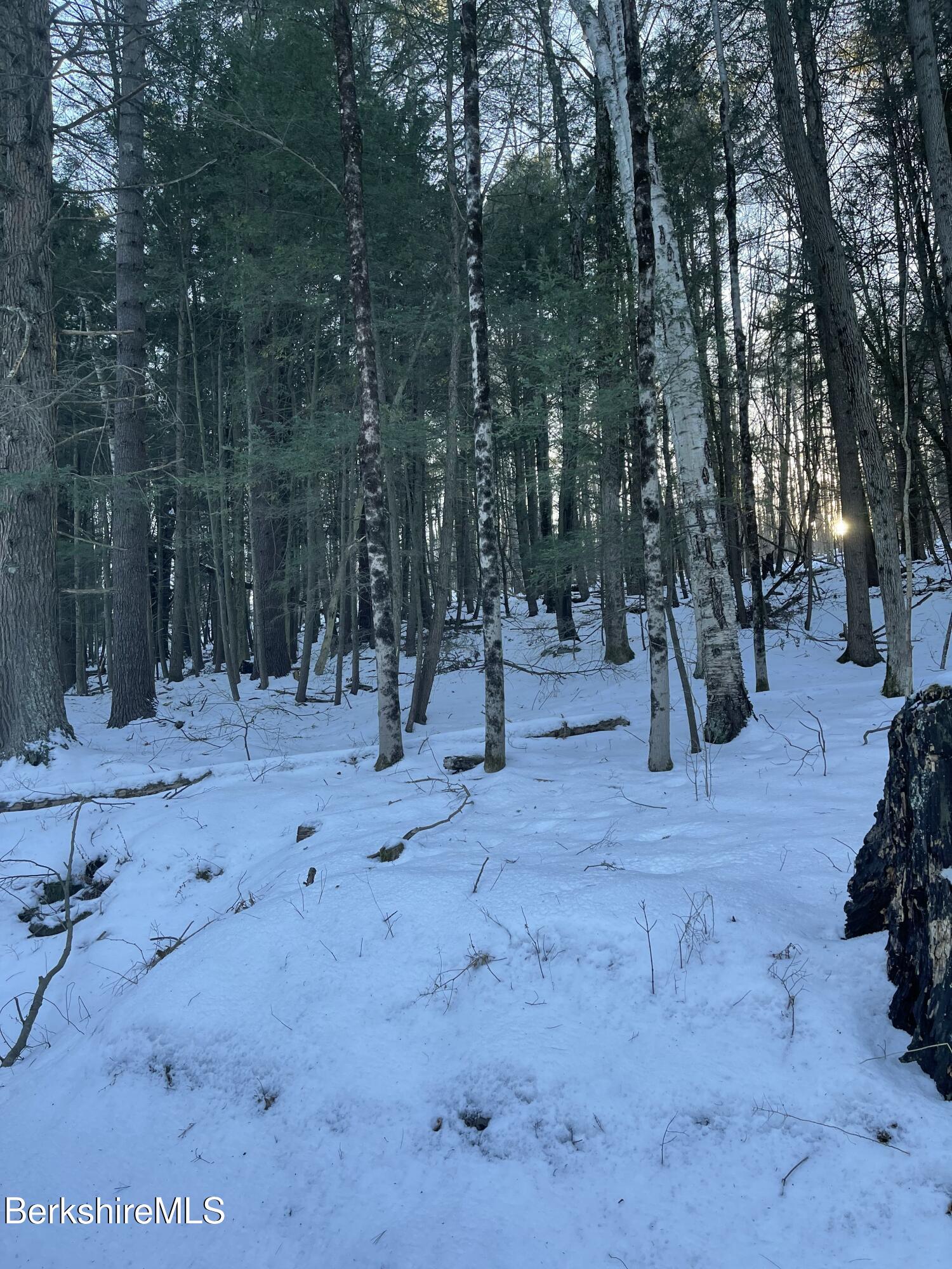 1 Partridge Road Lanesborough, MA 01237 - Photo 18 of 21 IMG_1042 (18)