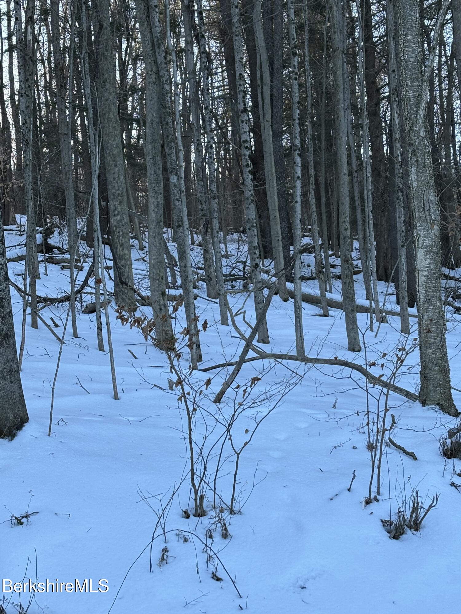 1 Partridge Road Lanesborough, MA 01237 - Photo 3 of 21 IMG_1042 (2)