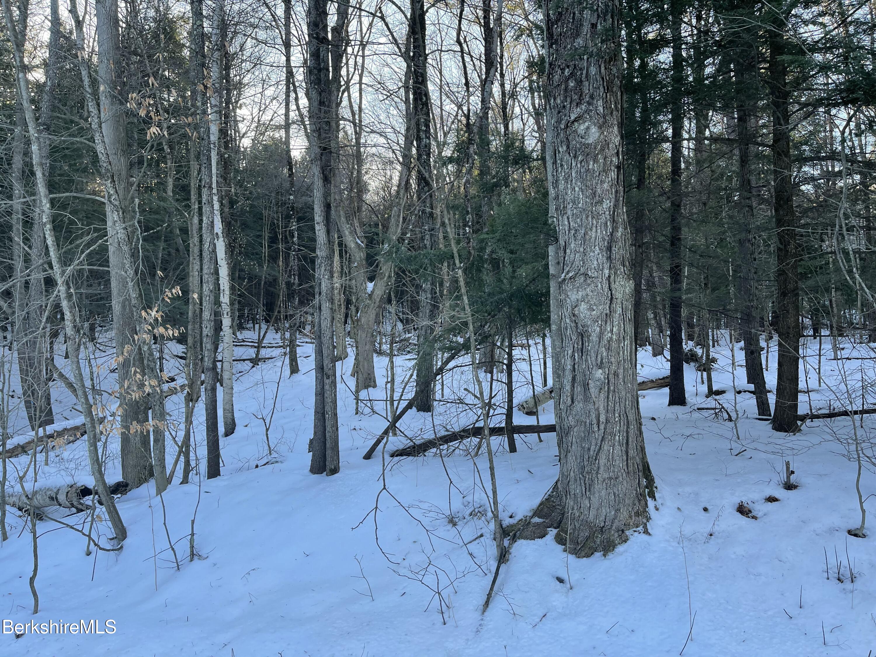 1 Partridge Road Lanesborough, MA 01237 - Photo 4 of 21 IMG_1042 (3)