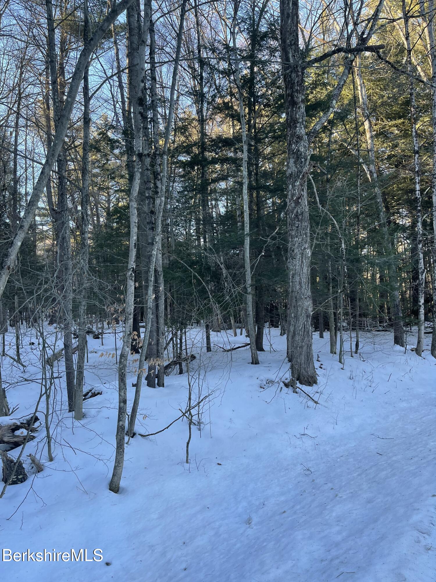 1 Partridge Road Lanesborough, MA 01237 - Photo 7 of 21 IMG_1042 (6)