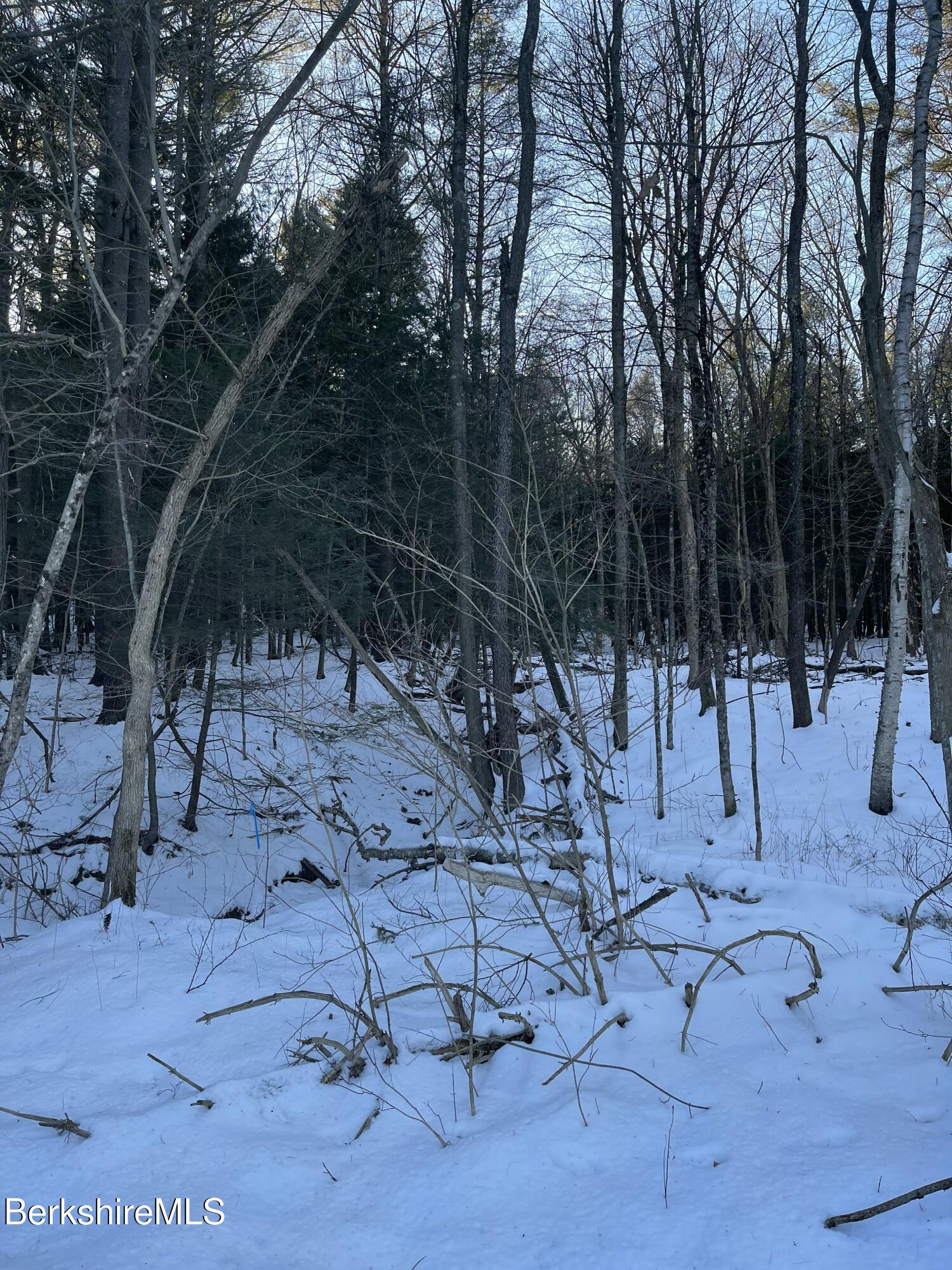 1 Partridge Road Lanesborough, MA 01237 - Photo 8 of 21 IMG_1042 (7)