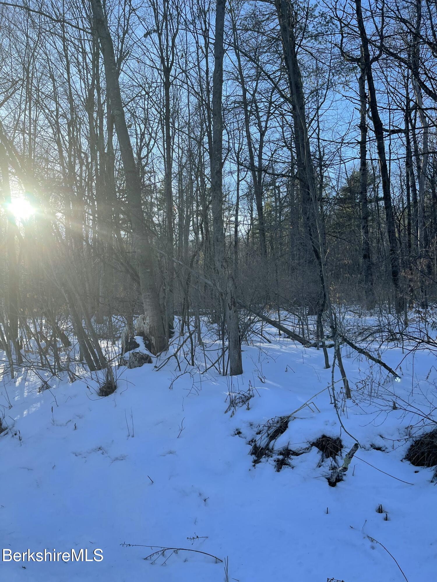 1 Partridge Road Lanesborough, MA 01237 - Photo 10 of 21 IMG_1042 (9)