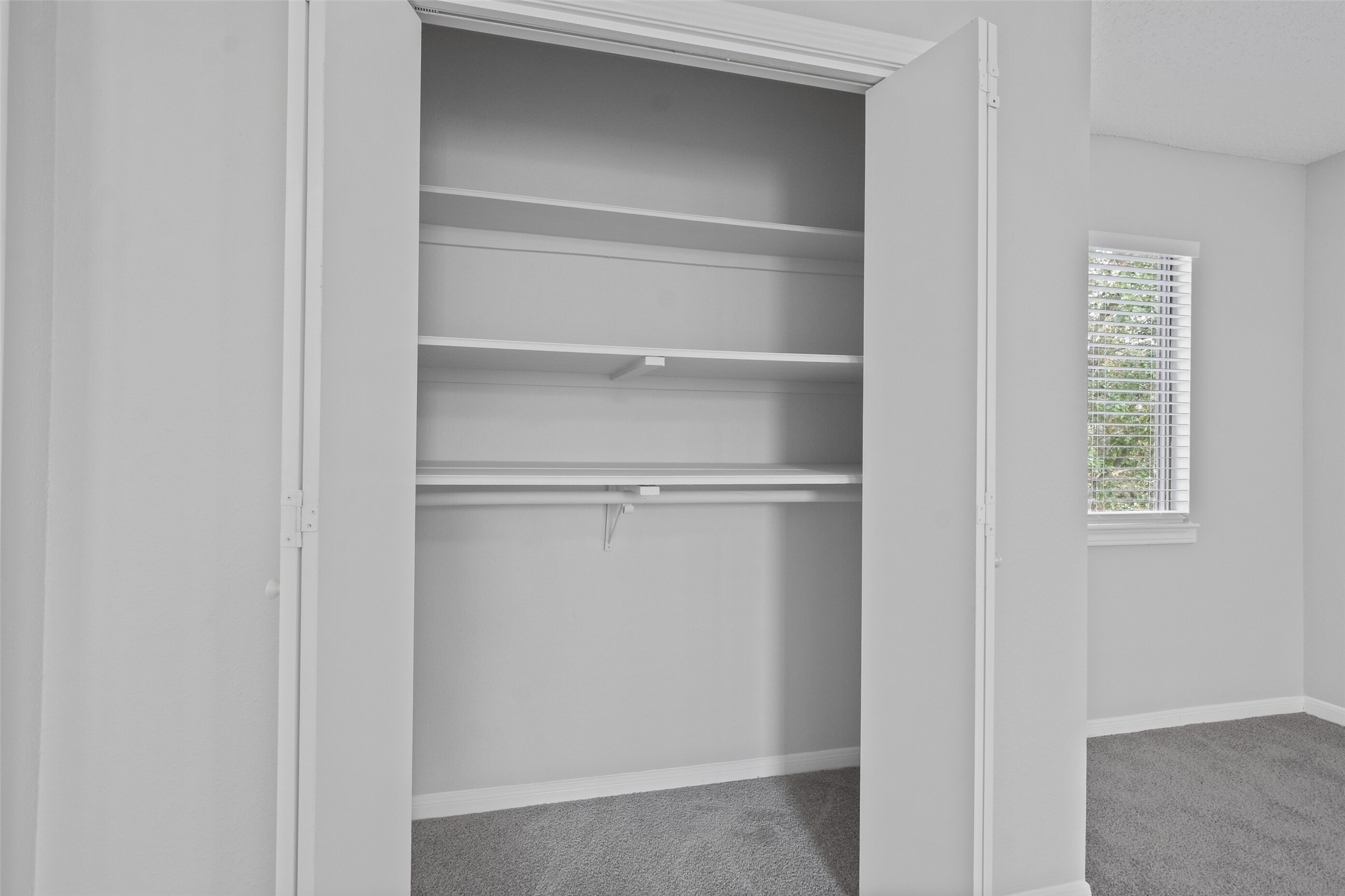 402 Tuam Street, Unit 2 Houston, TX 77006 - Photo 25 of 39 The second closet in the primary bedroom has additional shelving and hanging space.