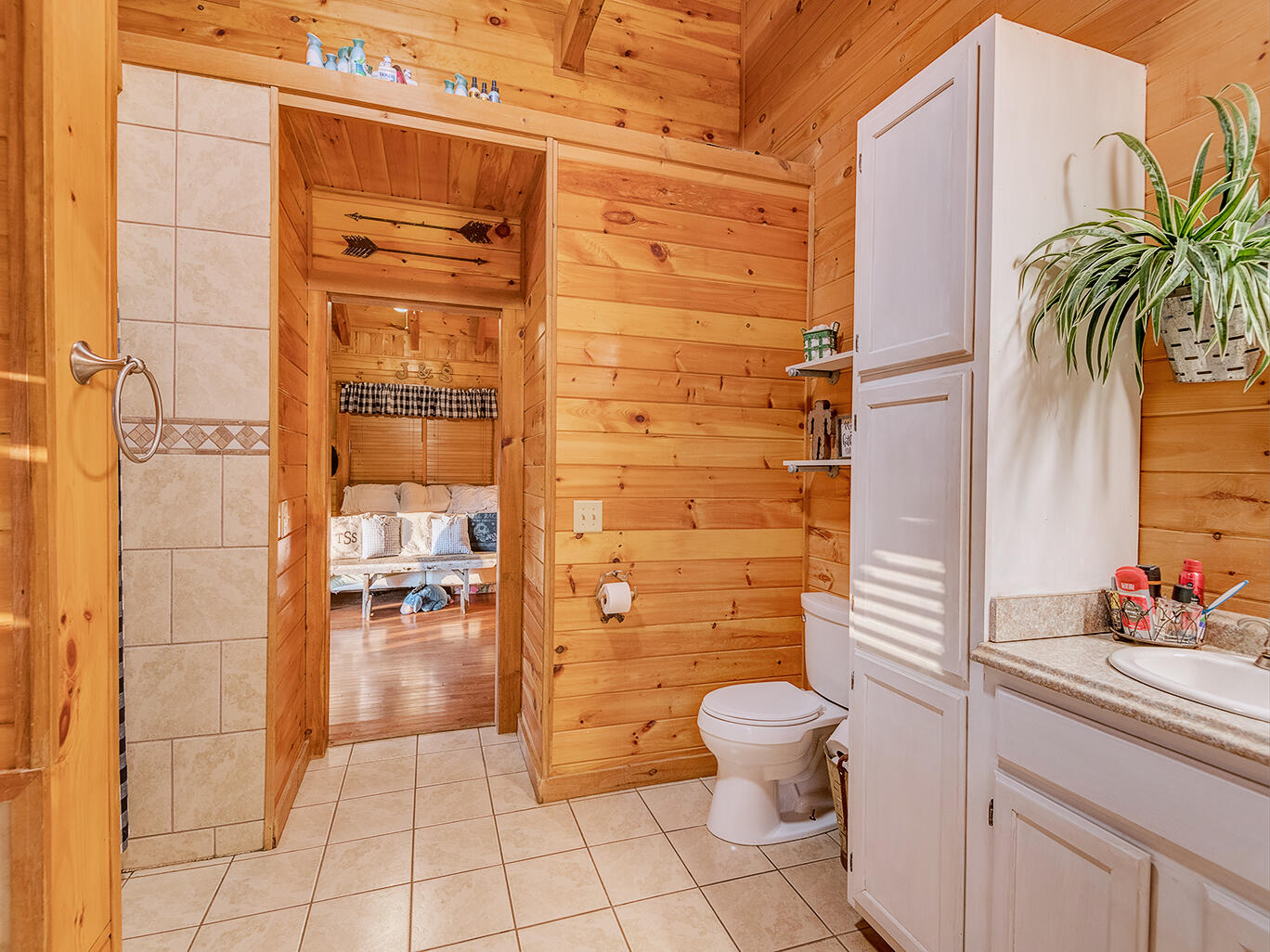 1045 Edens Road Afton, TN 37616 - Photo 23 of 44 Primary Bathroom