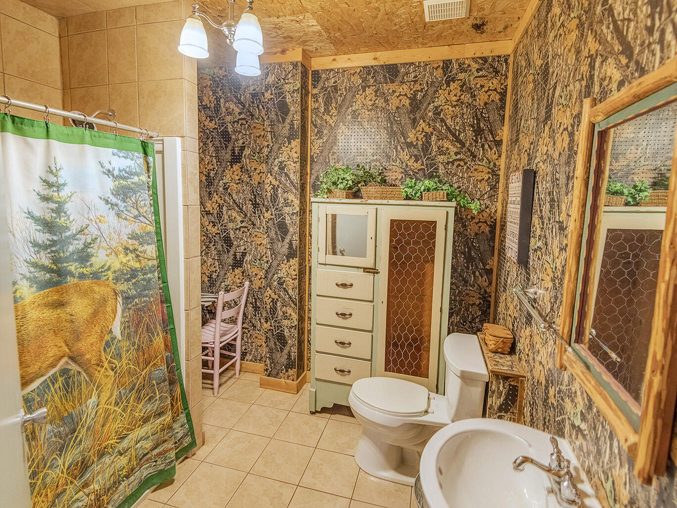 1045 Edens Road Afton, TN 37616 - Photo 32 of 44 Bathroom 3